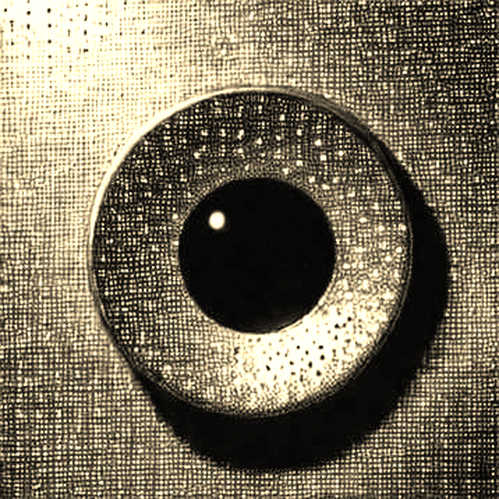 When the First Block Is Missing: The Ghost in the Narrative Hunter’s Gray Matter