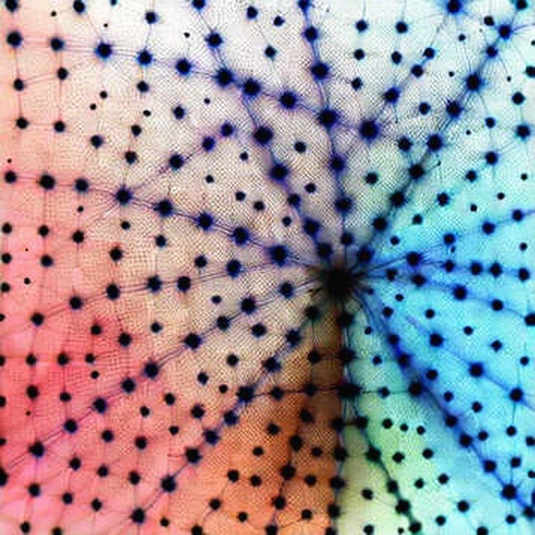 Two Labs, One Mirror: What OpenAI and Anthropic's Quiet Stress-Test Talks Really Test