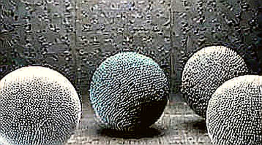 The Quiet Coup: Securitize's USDG Integration and the Architecture of Institutional Settlement