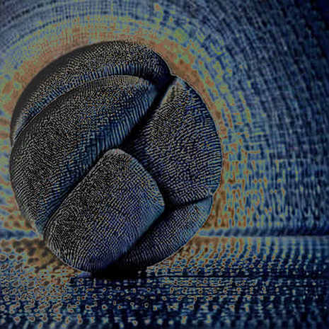 The NEAR 50% Anomaly: A Forensic Decomposition of a Narrative Vacuum