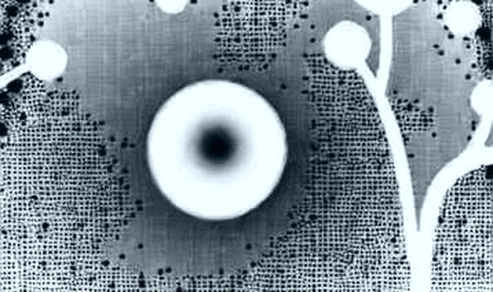 The Ghost in the Ledger: Deconstructing the $20M Crypto Ponzi That Exposed the Silence in the Code The Ghost in the Ledger: Deconstructing the $20M Crypto Ponzi That Exposed the Silence in the Code