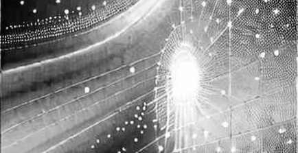 The N/A Report: A 47-Field Audit of Nothing, and Why the Void Is the Data The N/A Report: A 47-Field Audit of Nothing, and Why the Void Is the Data